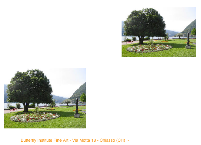 ￼Butterfly Institute Fine Art è un istituto di art consulting, nonché di gestione e valorizzazione dei patrimoni   artistici, che svolge l’attività di consulenza, promozione culturale e commerciale con servizi destinati sia ai musei che alle istituzioni pubbliche e private, come banche, comuni, gallerie, sia al collezionismo privato della pittura svizzera, italiana e internazionale del XIX secolo. Gli ambiti di attività dell’istituto sono la ricerca scientifica, la consulenza, la catalogazione, la promozione, la gestione e la valorizzazione dei beni artistici, l’organizzazione di grandi mostre di interesse culturale, l’acquisizione e la vendita, in proprio o conto terzi, di importanti dipinti ￼dell’800. 

Gli obiettivi dell’istituto sono perseguiti attraverso dipartimenti specializzati altamente qualificati. L’istituto assume alcune specificità, destinando una attenzione particolare - sia nella sfera della ricerca, sia in quella della consulenza e della catalogazione, sia in campo commerciale -  a alcuni artisti del gruppo dei Macchiaioli (Luigi Bechi, Cristiano Banti, Vincenzo Cabianca, Giovanni Fattori, Silvestro Lega, Telemaco Signorini) e ai cosiddetti tre grandi di Parigi, ovvero Giovanni Boldini, Giuseppe De Nittis, Federico Zandomeneghi.  

Butterfly Institute Fine Art - Via Motta 18 - Chiasso (CH)  - info@butterflyinstitute.com